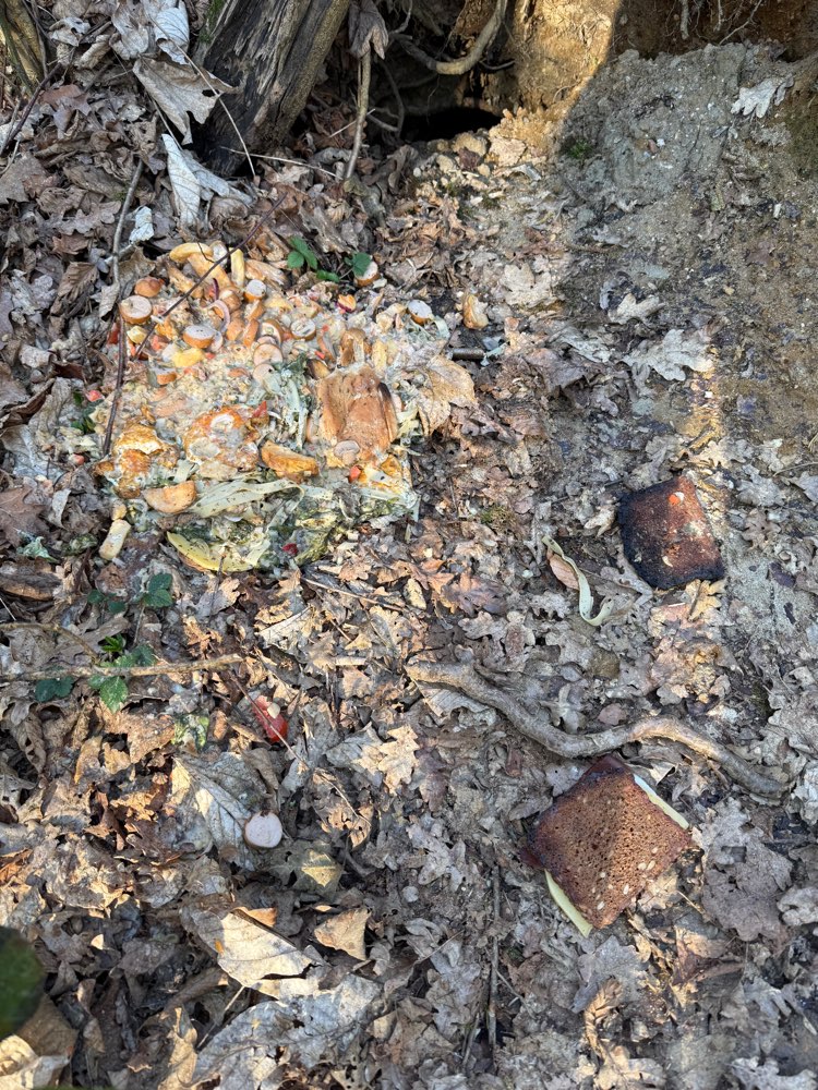 Giftköder-Essenreste (evtl. Erbrochenes)-Profilbild