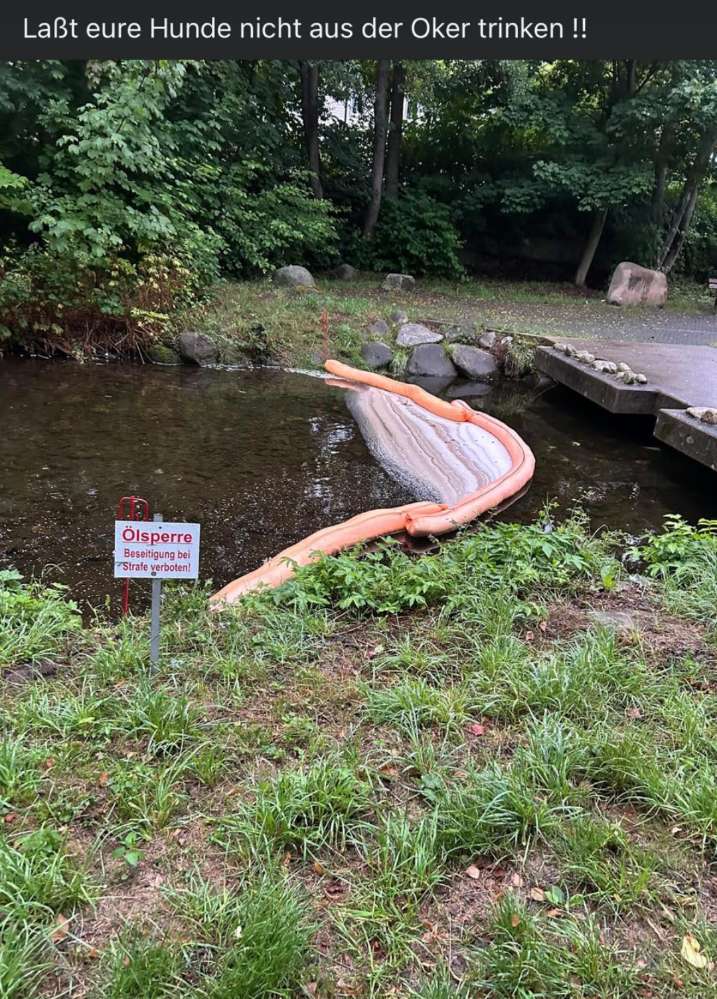 Giftköder-Ölsperre an der Oker-Profilbild