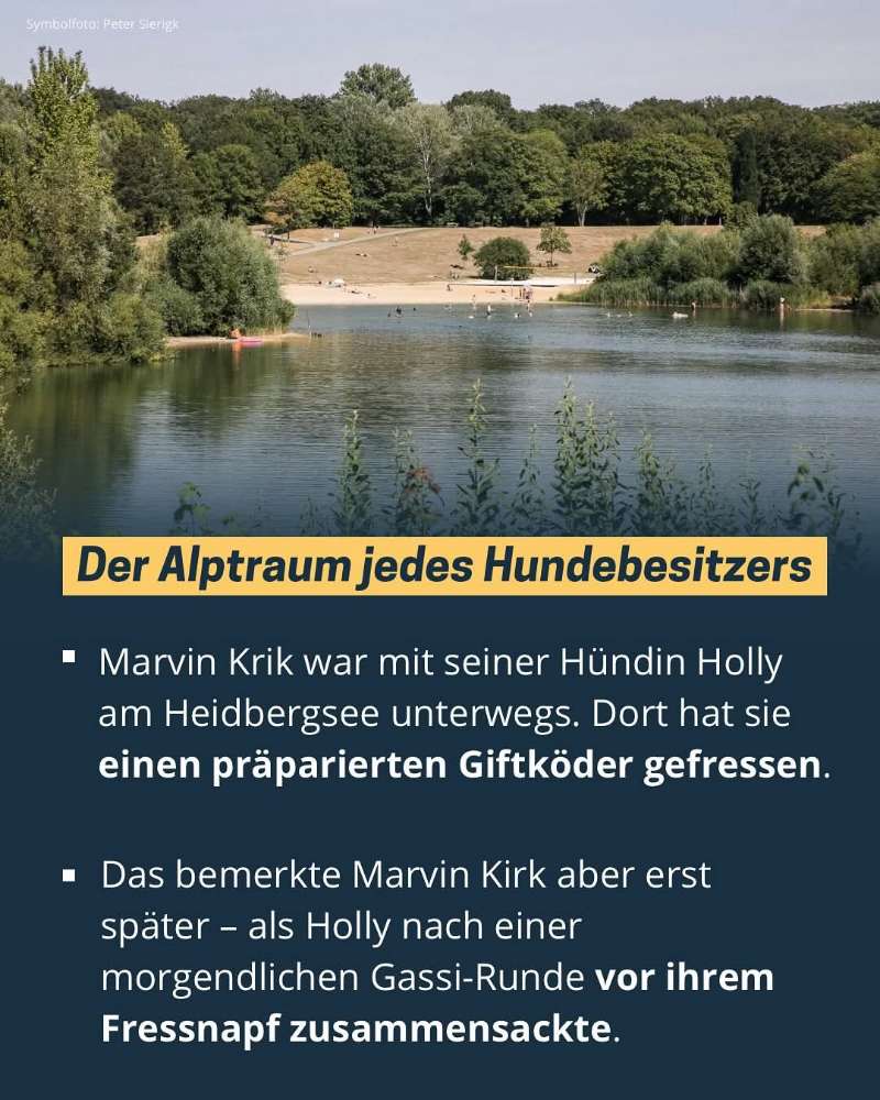 Giftköder-Giftköder-Profilbild