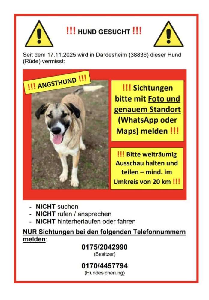 Suchmeldung-Joris-Profilbild