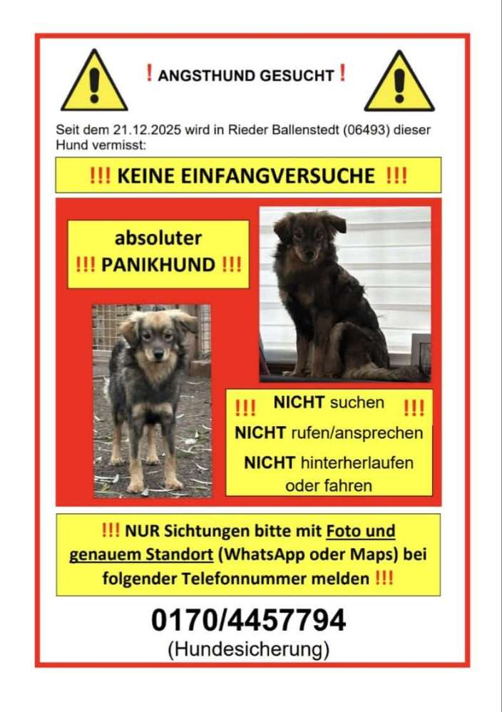 Suchmeldung-Dave-Profilbild