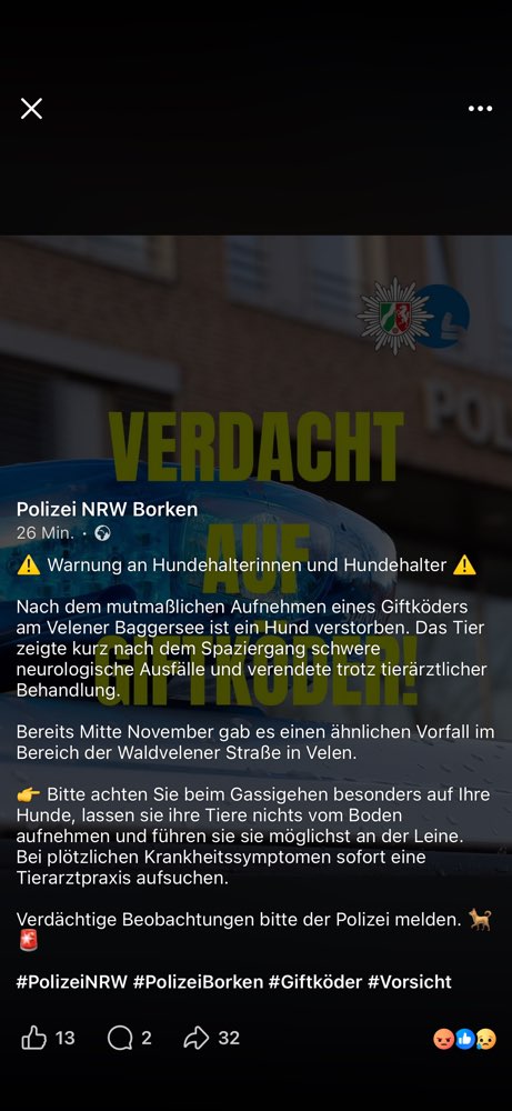 Giftköder-Giftköder-Profilbild