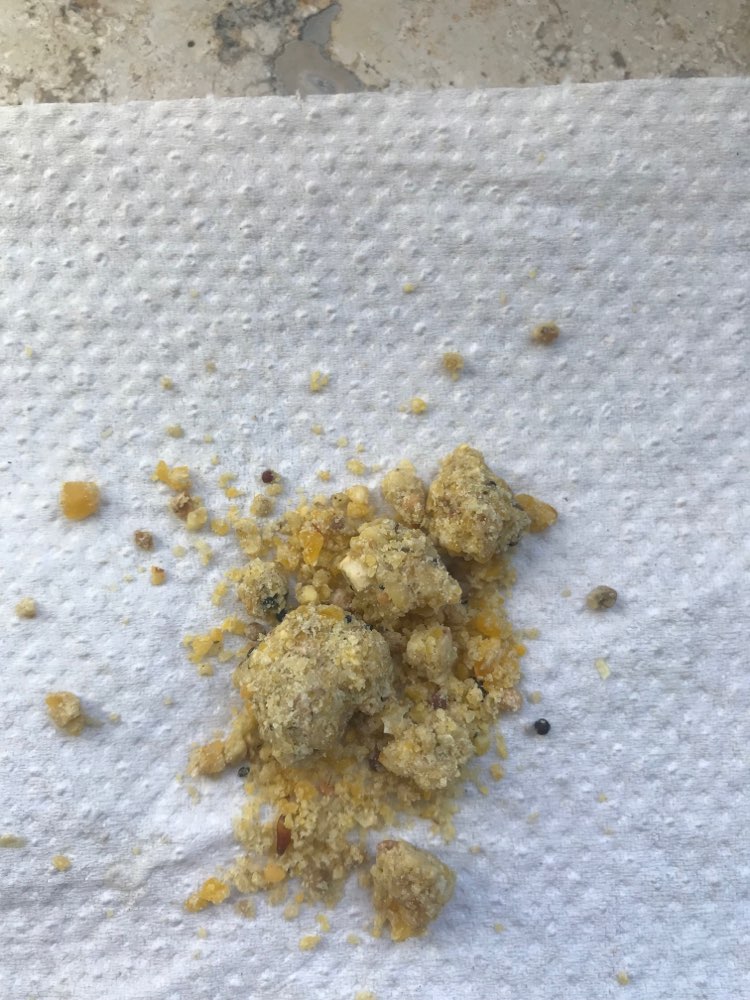 Giftköder-Möglicherweise Giftköder-Profilbild