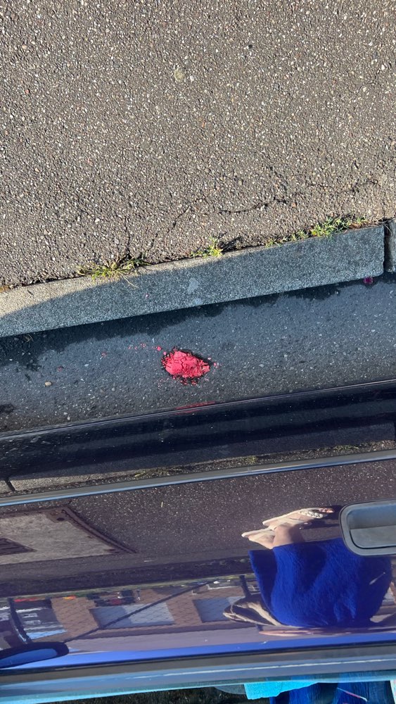 Giftköder-Eventuell Giftköder-Profilbild