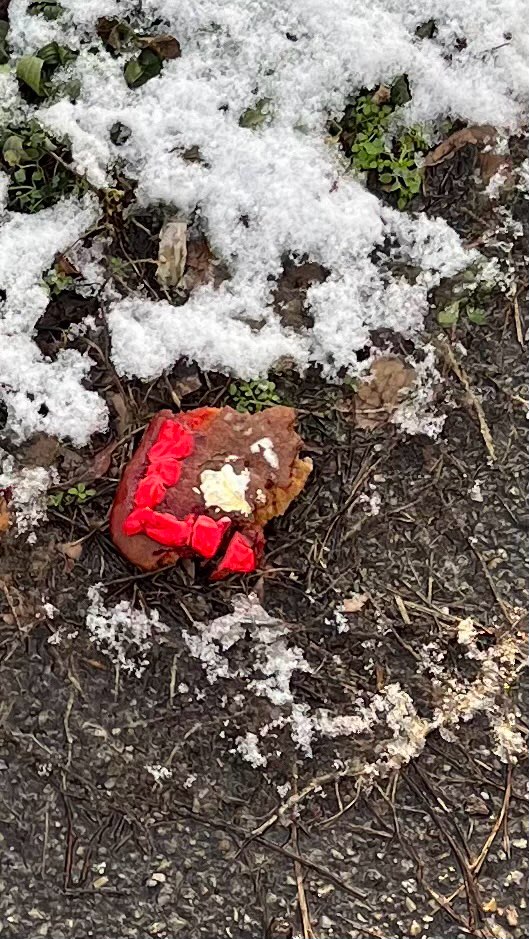 Giftköder-Verdacht auf Giftköder-Profilbild