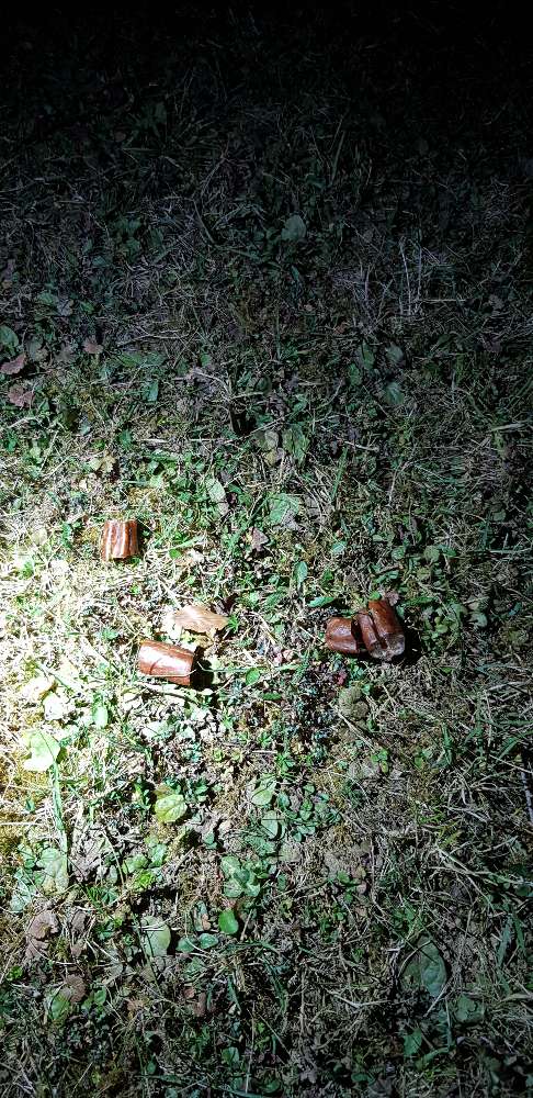 Giftköder-Möglicher Giftköder-Profilbild