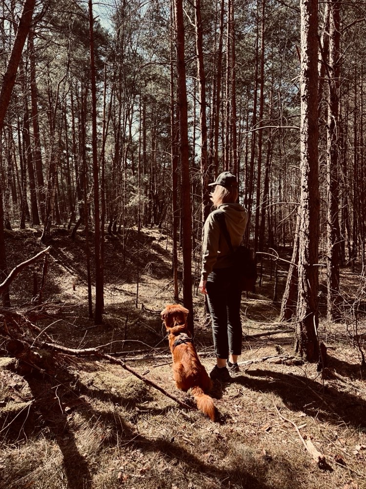 Hundetreffen-Hundefreunde für Waldrunde-Profilbild