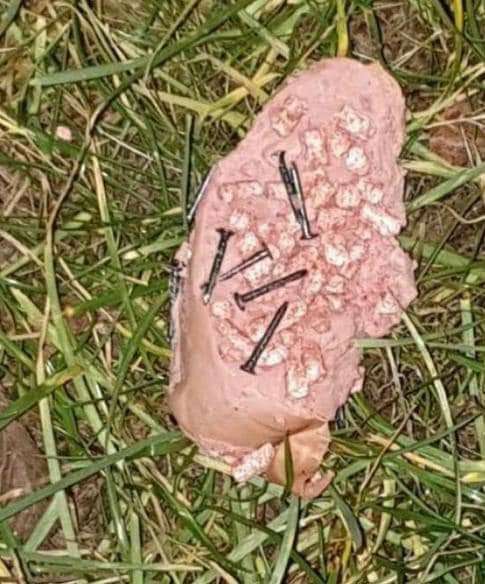 Giftköder-Nagelköder!!-Profilbild