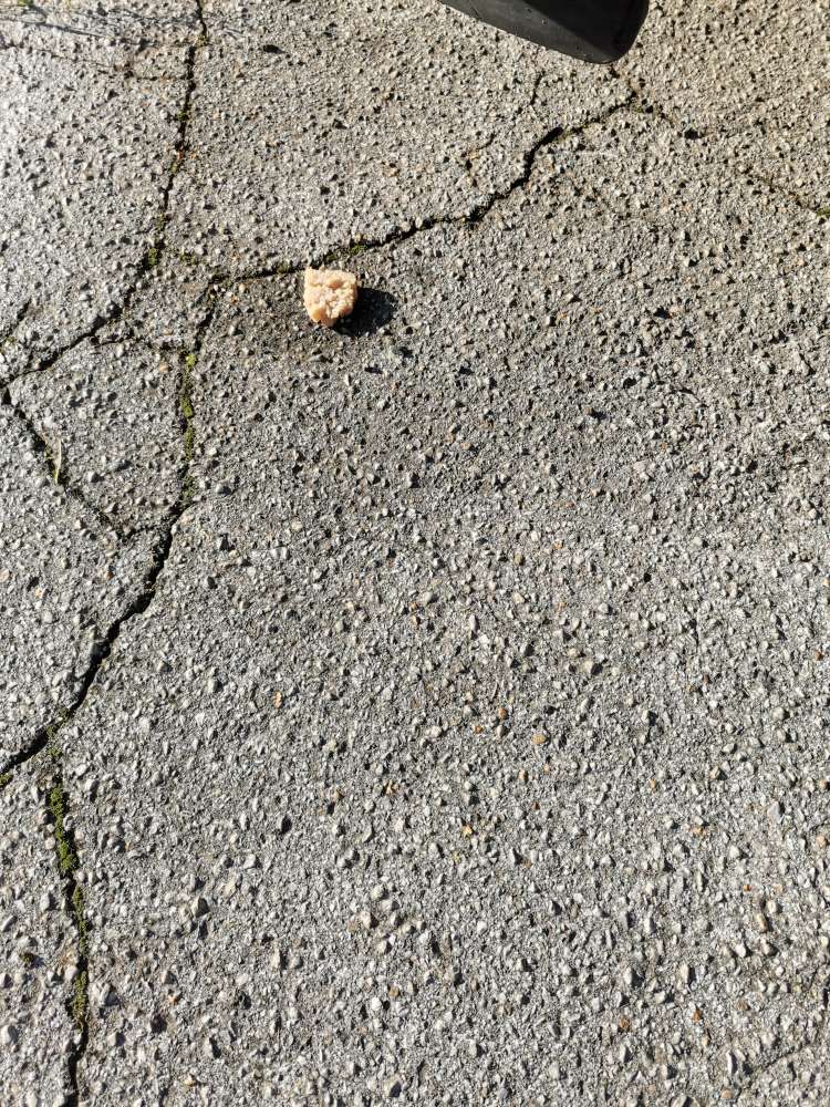 Giftköder-Giftköder?-Profilbild