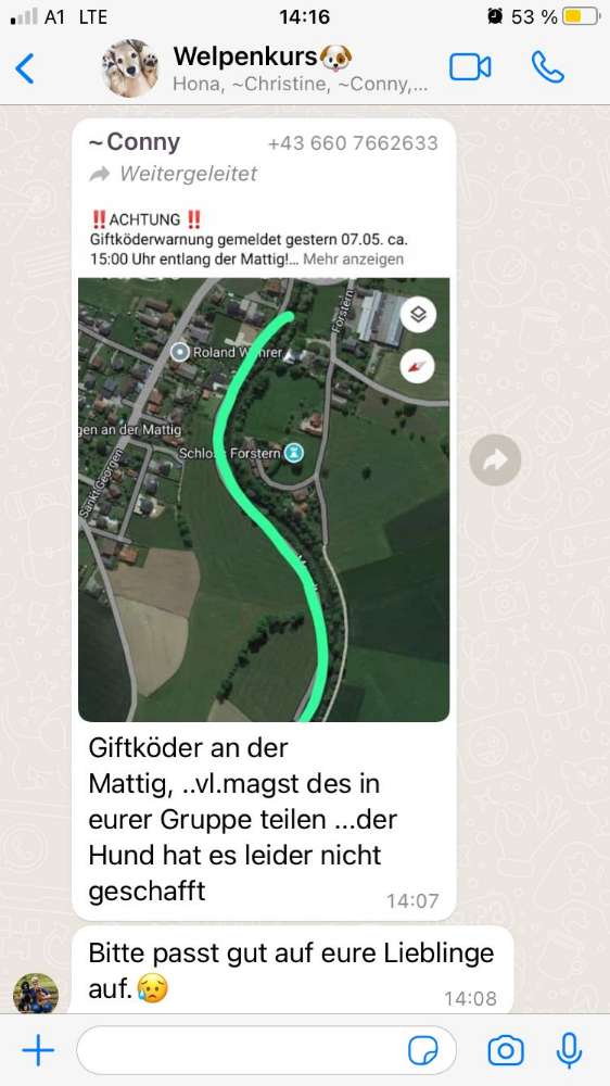 Giftköder-Giftköder-Profilbild