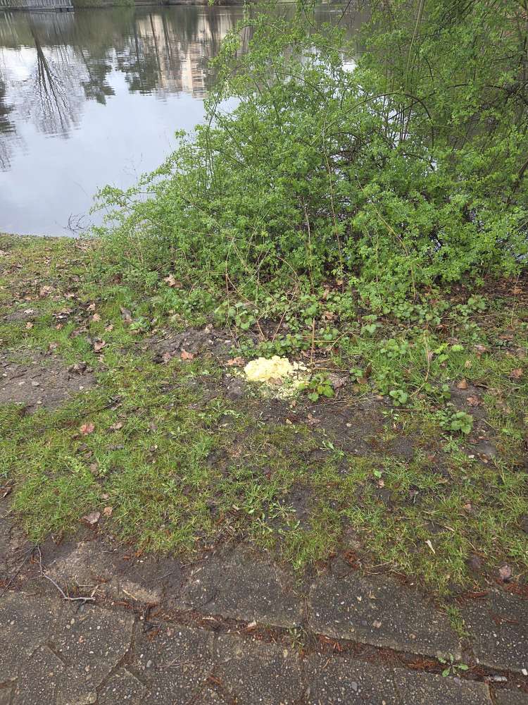 Giftköder-Komische Substanz-Profilbild