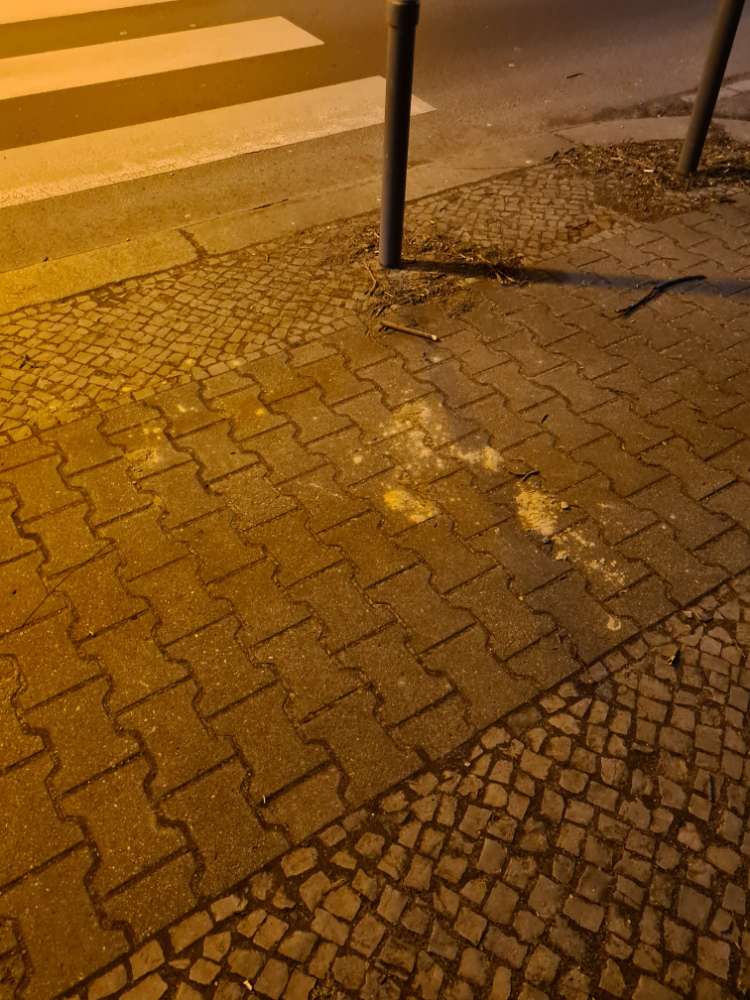 Giftköder-Weißes Pulver-Profilbild