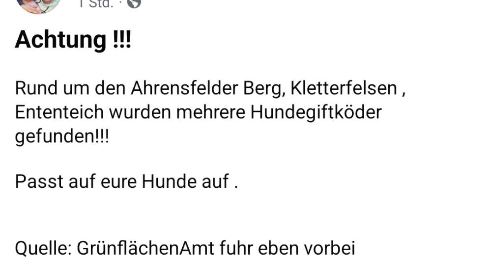 Giftköder-Giftköder-Profilbild