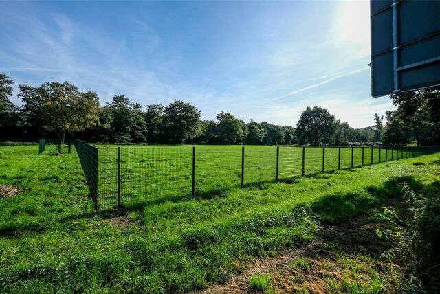 Hundetreffen-Hundewiese am Bruchweg in Recklinghausen-Profilbild