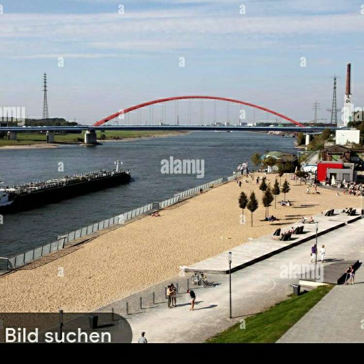 Hundetreffen-Spiel üben rennen-Profilbild