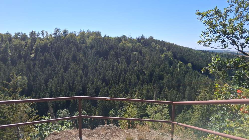 Hundetreffen-Social Walk im Tharandter Wald-Profilbild