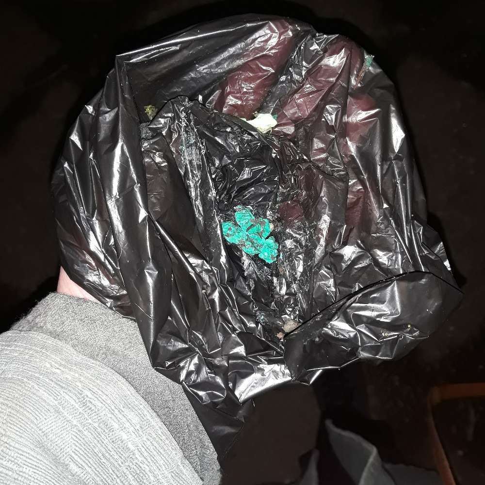 Giftköder-Blaue Brocken im Stadtpark-Profilbild