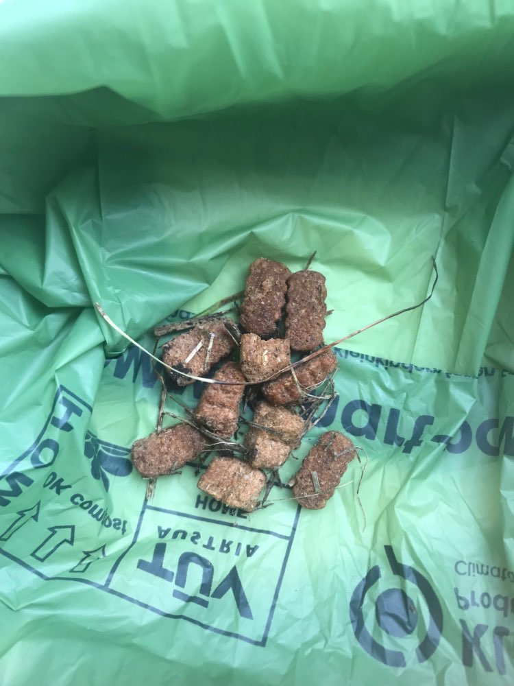 Giftköder-Trockenfutter verstreut auf der Wiese-Profilbild