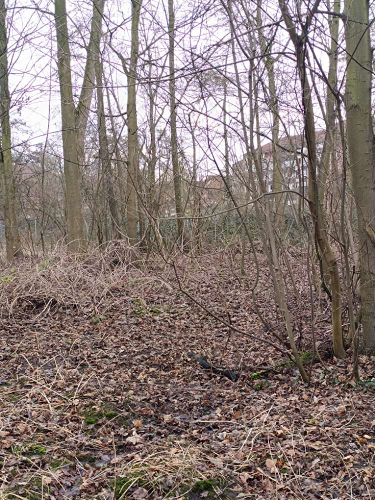 Giftköder-Verdacht auf Köder-Profilbild