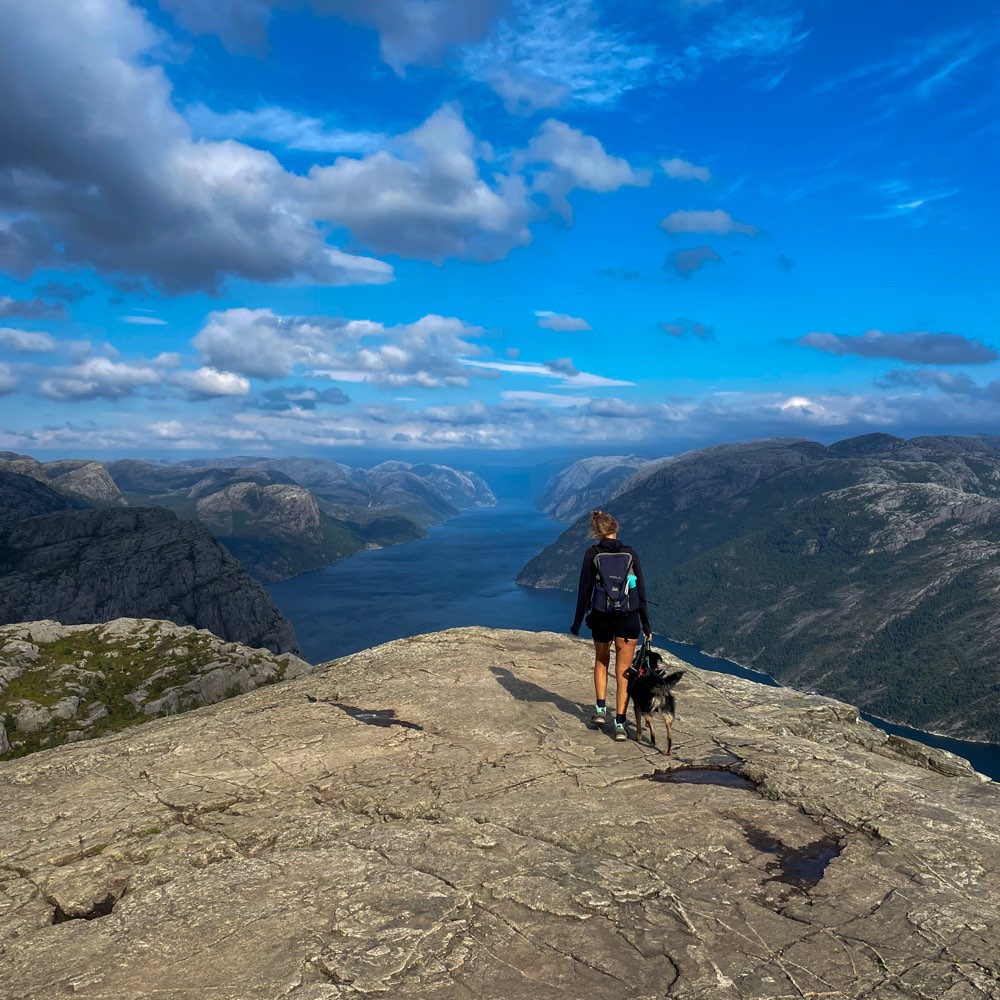 Hundetreffen-Entspannte Spaziergänge-Profilbild