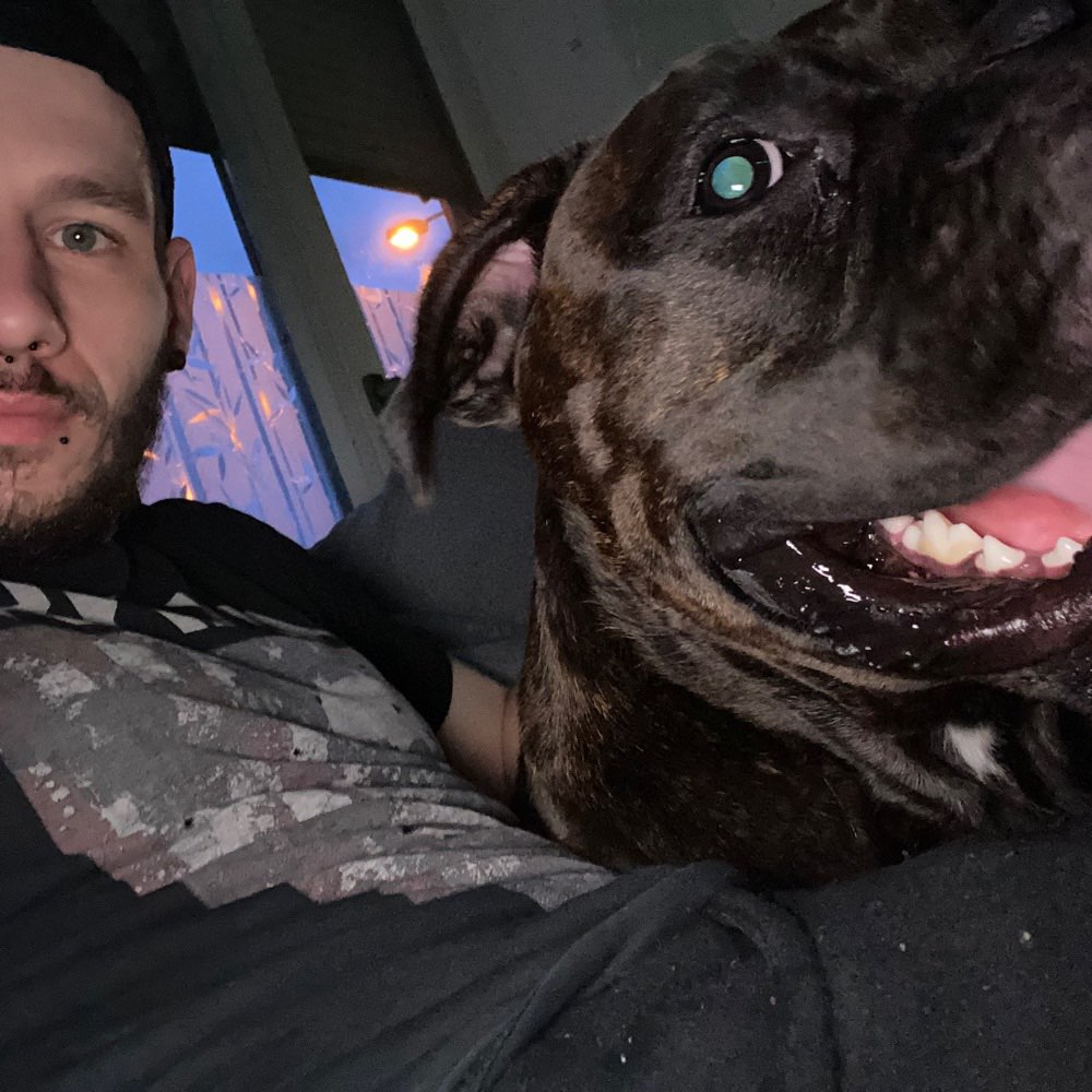 Hundetreffen-Spielfreunde Gesucht!-Profilbild