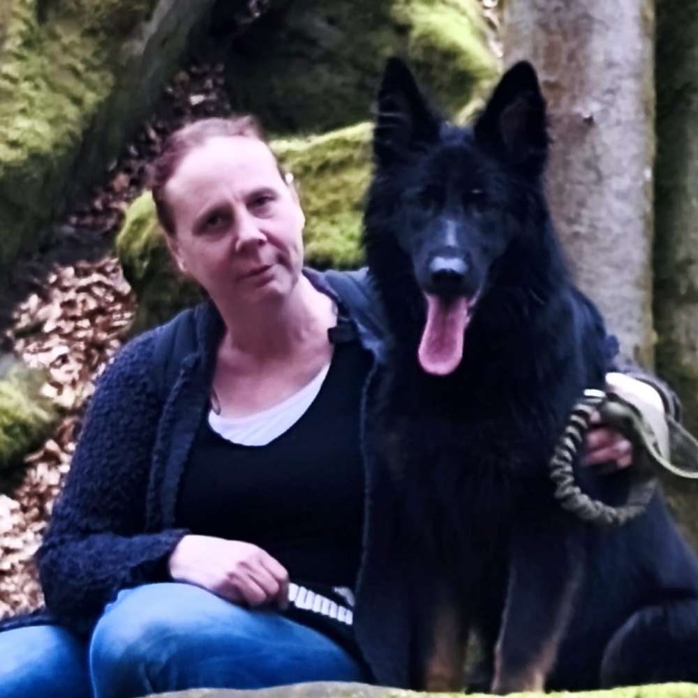 Hundetreffen-Welpen treffen-Profilbild