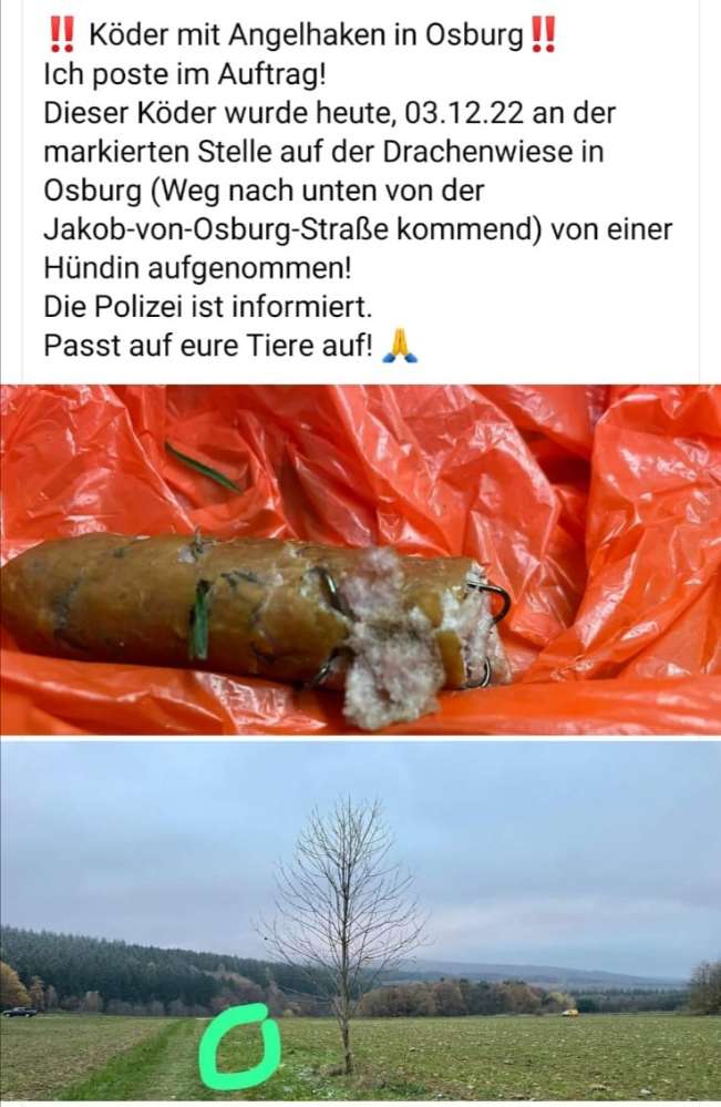 Giftköder-Leberwurst mit Angelhaken-Profilbild