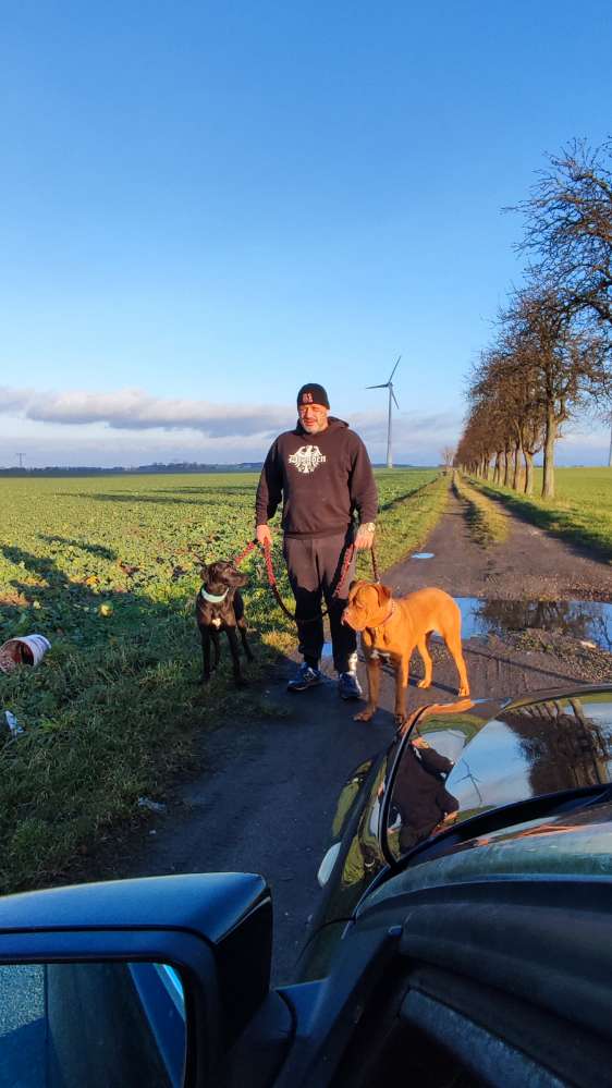 Hundetreffen-Hunde Bekanntschaften-Profilbild