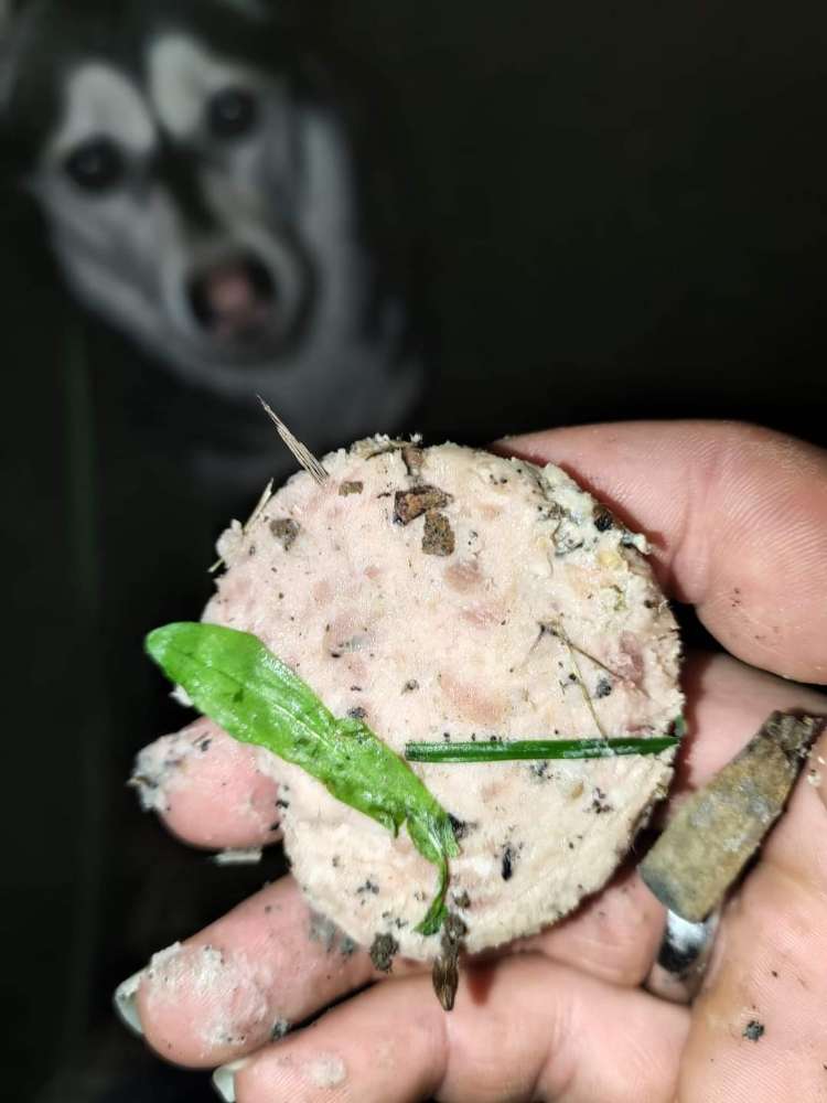 Giftköder-Achtung "Giftköder"!-Profilbild