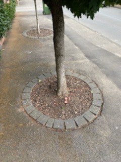 Giftköder-Achtung! Wurst in Sechtem-Profilbild