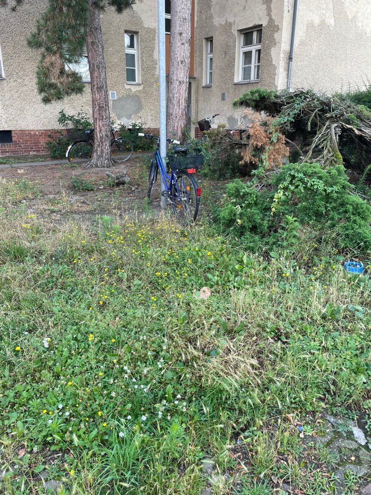 Giftköder-Brotscheiben auf der Wiese-Profilbild