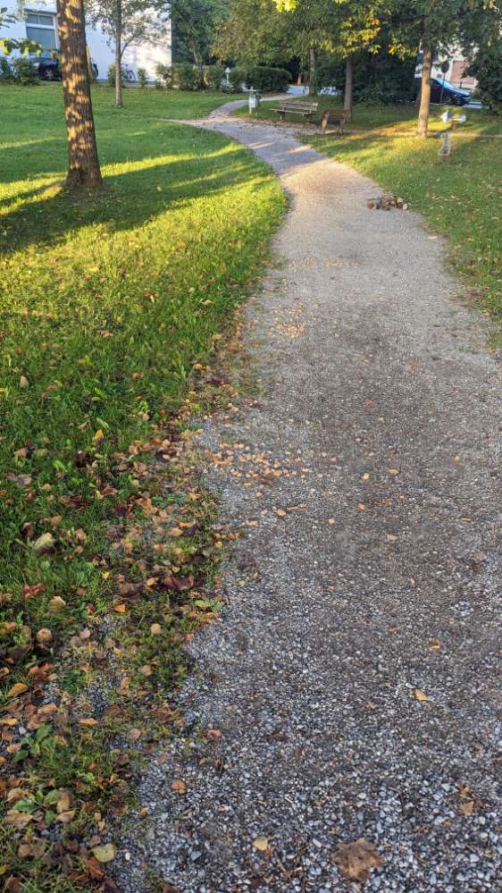 Giftköder-Brot großflächig ausgelegt-Profilbild