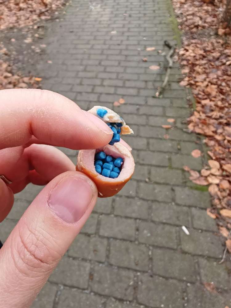 Giftköder-Giftköder-Profilbild