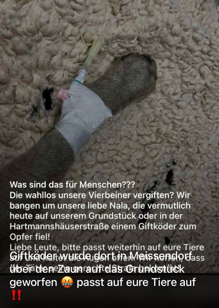 Giftköder-Giftköder-Profilbild