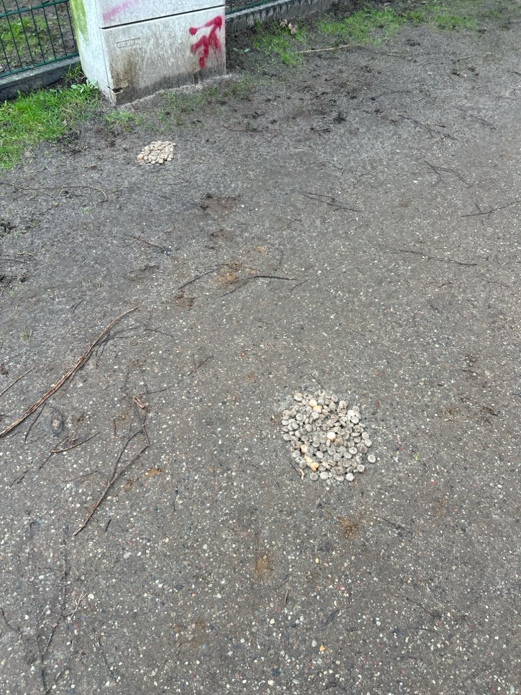 Giftköder-Möglicher Giftköder-Profilbild