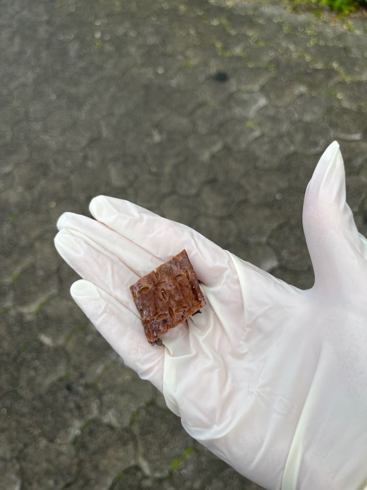 Giftköder-Verdacht auf Giftköder-Profilbild