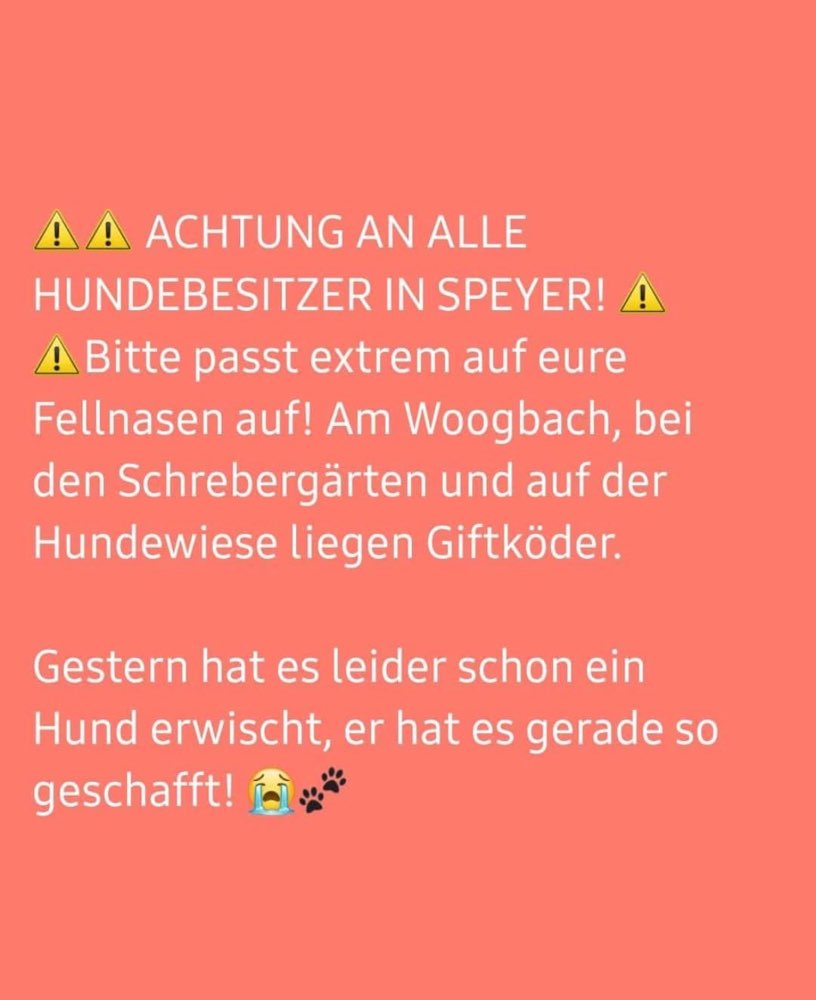 Giftköder-Giftköder-Profilbild