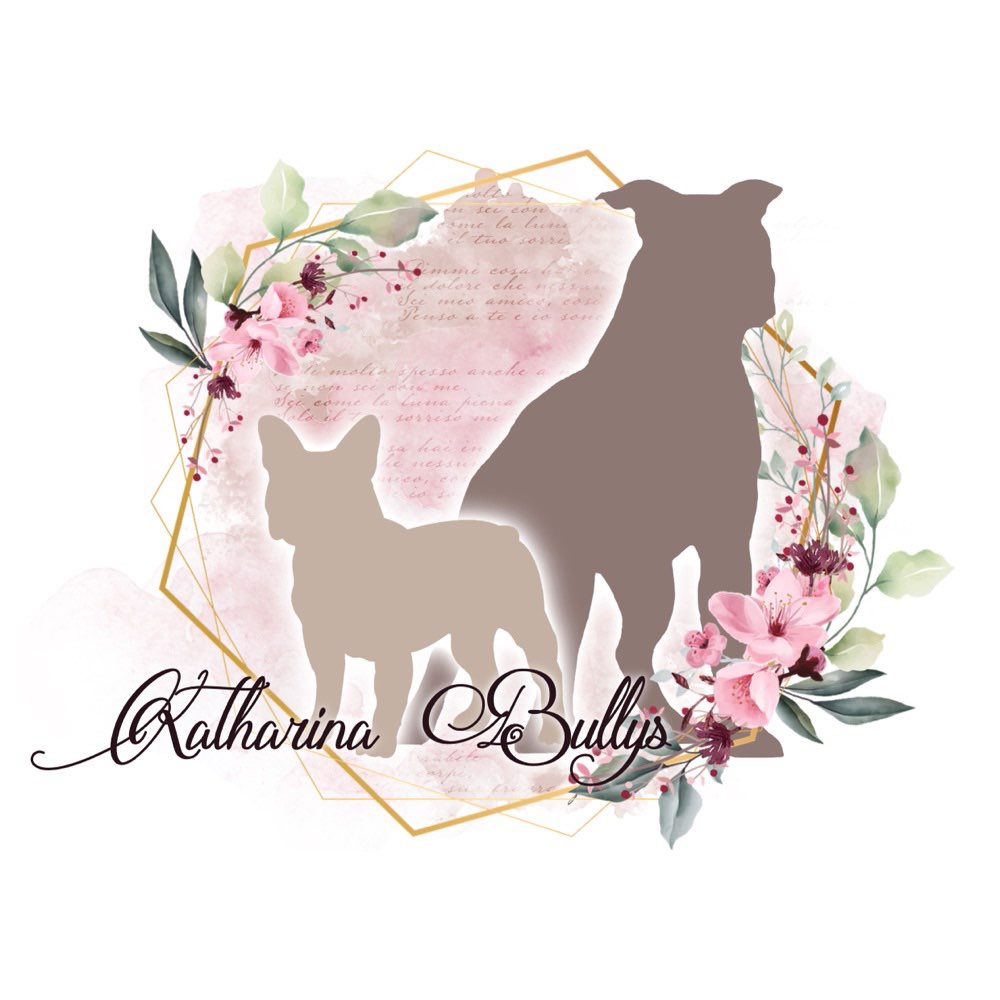 Hundetreffen-Training 🤍-Profilbild