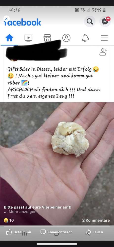 Giftköder-Giftköder-Profilbild