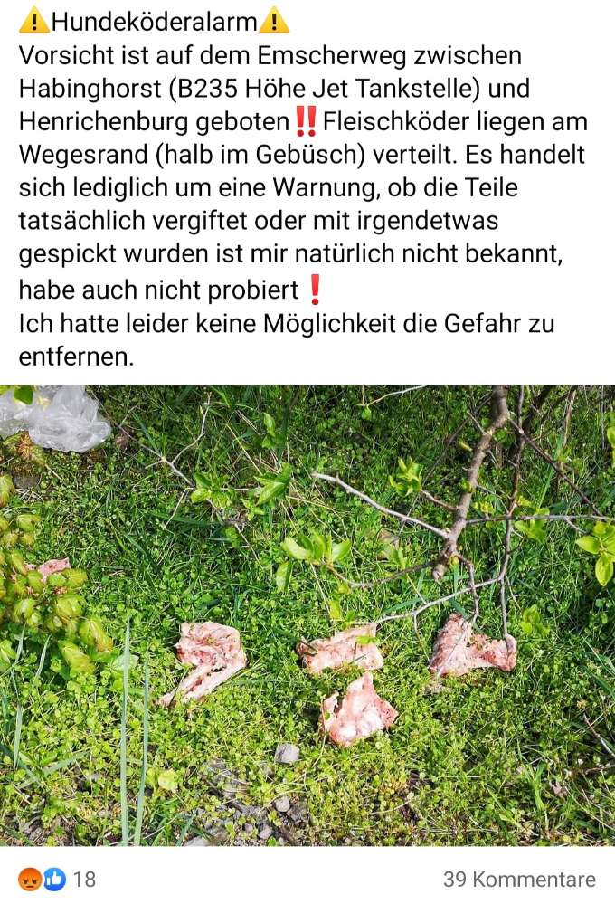 Giftköder-Evtl. Giftköder-Profilbild