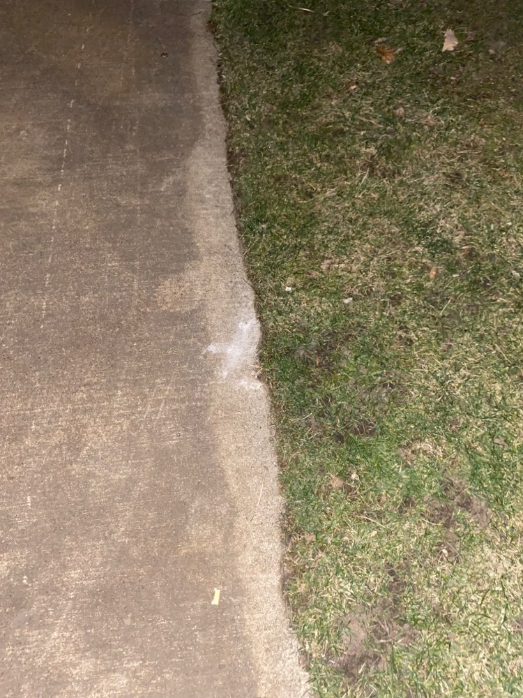 Giftköder-White Powder Gleisdreieckpark-Profilbild