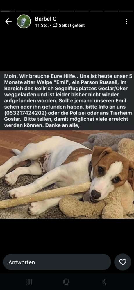 Suchmeldung-Emil-Profilbild