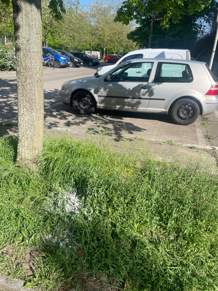 Giftköder-Weißes Pulver-Profilbild