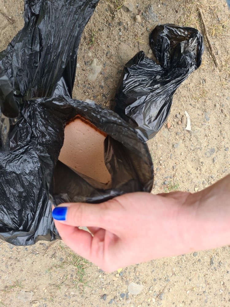 Giftköder-Möglicher Giftköder Würstchen-Profilbild