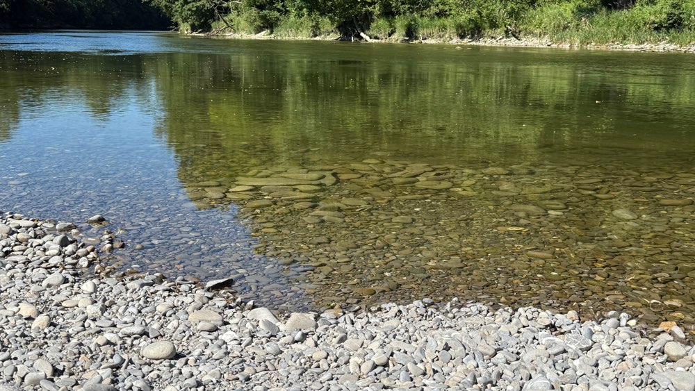 Hundetreffen-An der Sense plantschen-Profilbild