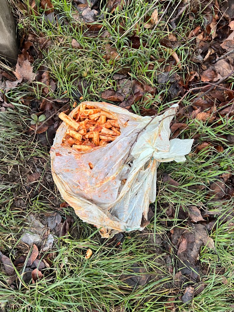 Giftköder-Tüte mit Nudeln + Glasscherben-Profilbild