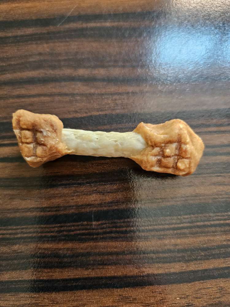 Giftköder-Leckerlies bei den Enten am Emssee-Profilbild