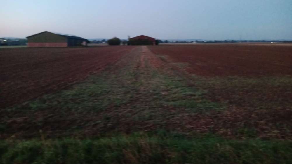 Giftköder-Giftköder-Profilbild