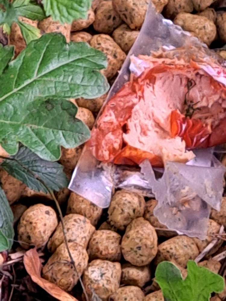 Giftköder-Köder-Profilbild