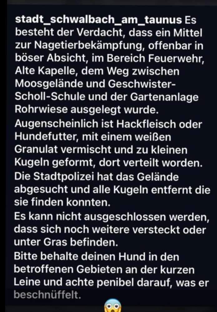 Giftköder-Giftköder-Profilbild